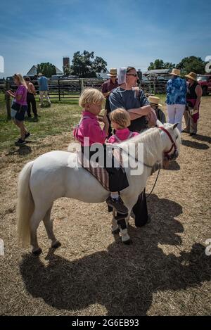 Amish Kinder bei Sommer Kutschenverkauf Auktion. Stockfoto