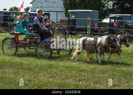 Amish Kinder bei Sommer Kutschenverkauf Auktion. Stockfoto