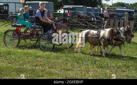 Amish Kinder bei Sommer Kutschenverkauf Auktion. Stockfoto