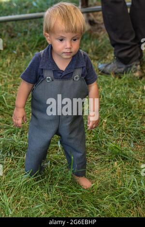 Amish Kinder bei Sommer Kutschenverkauf Auktion. Stockfoto