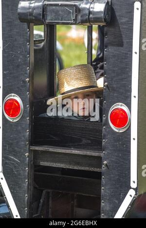 Amish Kinder bei Sommer Kutschenverkauf Auktion. Stockfoto