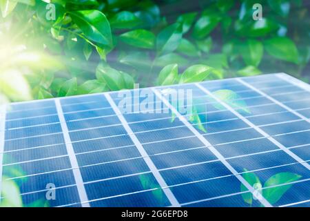 Sonnenkollektoren zwischen grünen Blättern. Photovoltaikmodul als in das Ökosystem integriert. Alternative Clean Green Energy Konzept. Stockfoto