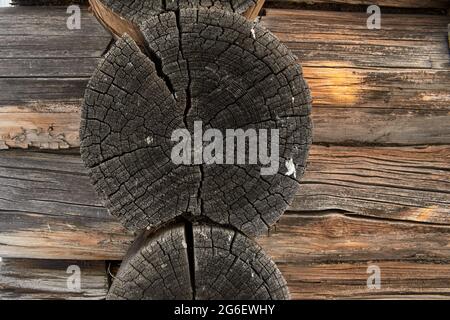 Die Wand eines Holzhauses aus alten Baumstämmen Stockfoto