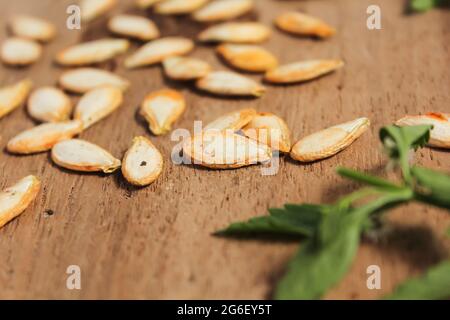 Frische Kürbiskerne isoliert auf Holzoberfläche Stockfoto