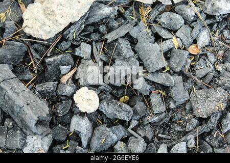 Holzkohle in der Natur, Draufsicht Stockfoto