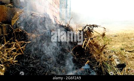 Brennendes altes trockenes Gras im Garten. Flammendes trockenes Gras auf einem Feld Stockfoto