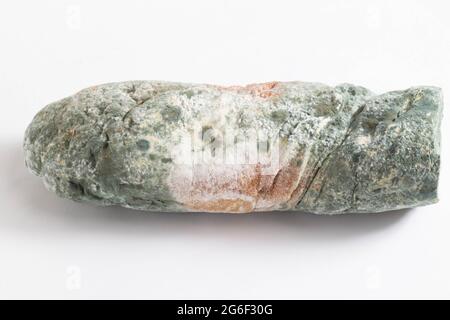 Grün schimmeliges Brot auf weißem Hintergrund, isolieren. Brot mit Schimmel, Makro, Bakterium Stockfoto