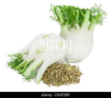 Frische Fenchel-Birne mit Samen isoliert auf weißem Hintergrund mit Beschneidungspfad und volle Schärfentiefe Stockfoto