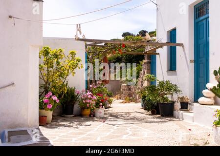 Plaka Town auf der Insel Milos - malerische schmale Steinstraße mit traditionellen griechischen weiß getünchten Wänden, blauen Türen, Fensterläden. Stockfoto
