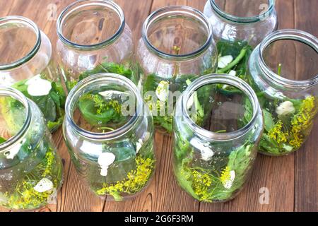 Gläser mit Gewürzen, Knoblauch und Gurke zum Konservieren von Gurken. Gläser mit Gewürzen auf Holzboden, Konservierung für den Winter, Vorspeise Stockfoto