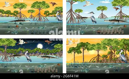 Verschiedene Mangrovenwaldlandschaftsszenen mit Tieren und Pflanzen Illustration Stock Vektor