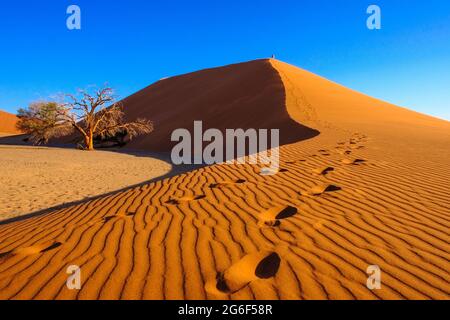 Reisende, menschliche Fußspuren führen nach oben in den orangefarbenen Sand der größten Düne 45 in Namibia, afrikanischer Wüstenuntergang. Sossusvlei, Namibia, Afrika Stockfoto