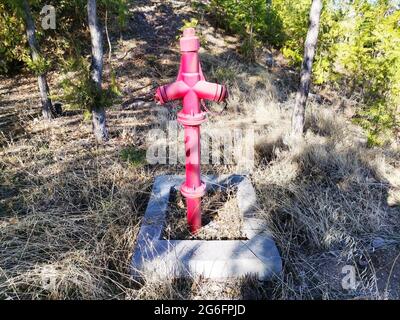 Feuerlöschung. Rotes Löschventil Brandschutz. Feuerlöscher im Garten. Stockfoto