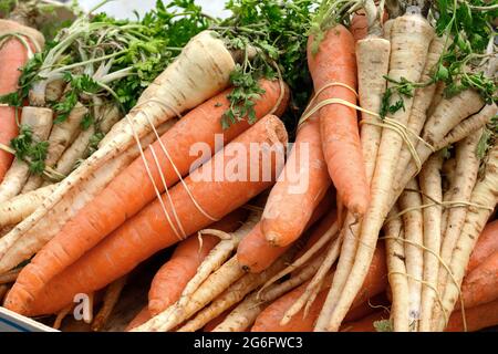 Frisch, Pastinaken und Karotten auf dem Wochenmarkt. Ein Bündel Karotte und Pastinak. Voller Rahmen von Gemüse. Stockfoto