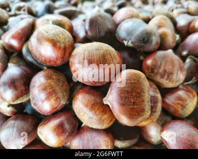 Kastanie. Kastanien bereit zum Kochen. Stockfoto