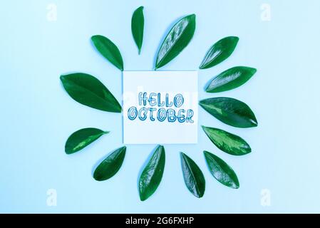 Konzeptionelle Bildunterschrift Hallo Oktober. Begrüßung des Geschäftskonzepts bei der Begrüßung des 10. Monats im Jahr Creating Nature Theme Blog Content Stockfoto