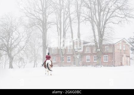 Mädchen Reiten Pferd im Schnee draußen Stockfoto
