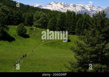 Wanderer auf sonnigem, grasbewachsenen Talweg unterhalb der Berge, Piemont, Italien Stockfoto