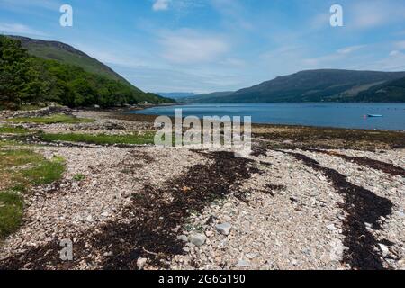 Blick nach Norden Loch Broom hinunter in Richtung Ullapool, Schottland, Großbritannien. Stockfoto