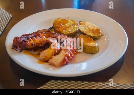 Gegrillter Oktopus mit Kartoffeln. Spanien. Stockfoto