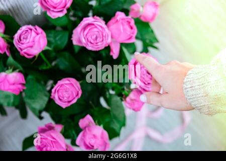 Urlaubskonzept, Strauß Rosen zum Geburtstag, Valentinstag Mütter Frauentag, Blumenstrauß am Morgen. Pfingstrosen mit weiblicher Hand. Zart Stockfoto