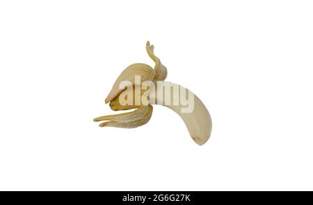 Geöffnete Banane. Geschälte Banane. Frisch, biologisch. Hintergrund Banane vor einem weißen Hintergrund. Stockfoto