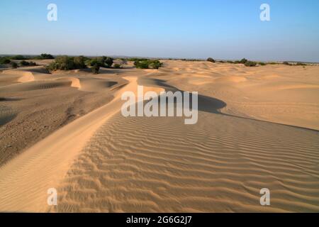 Berühmte Sanddünen bei Khuri ist ein kleines Dorf etwa 50 km südwestlich von Jaisalmer in Rajasthan, Indien Stockfoto