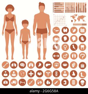 medizinische vektorgrafik, Anatomie des menschlichen Körpers, Symbole für Gesundheitsvektoren Stock Vektor