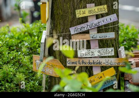 Eiche an einer Straße mit selbstgemachten Schildern in Ottensen, Street Art, Deutschland, Hamburg Stockfoto