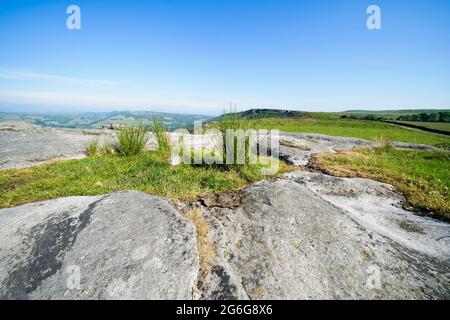 Gras wächst über verwitterten Flechten-bedeckten Gritsteinplatten am Baslow Edge Stockfoto