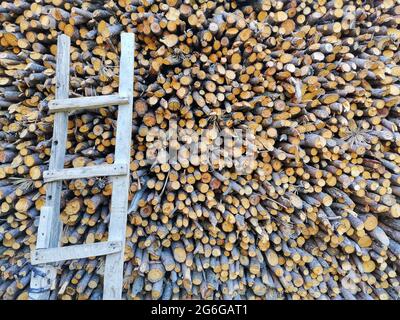 Der Wald im Holzschuppen. Holzreihen. Brennholz Stockfoto