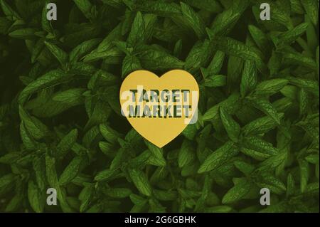 Handschriftschild Zielmarkt. Geschäftsidee spezifische Kunden, an die ein Unternehmen sein Marketing Heart Shaped Paper auf der Oberseite der Outdoor-Natur richtet Stockfoto