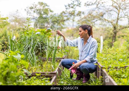 Frau kümmert sich um Pflanzen im Garten Stockfoto