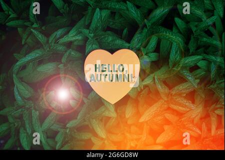 Handschriftentext Hallo, Herbst. Konzeptuelle Fotogrußkarte, die verwendet wird, wenn man den Wechsel von Sommer zu Winter herzförmiges Papier auf der Oberseite des Outdoor annimmt Stockfoto