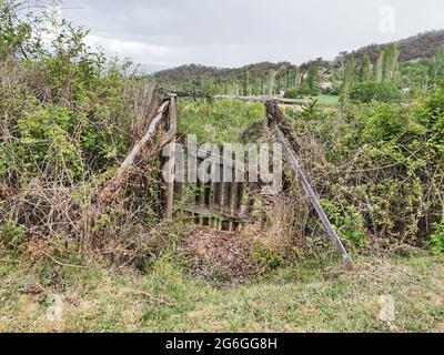 Hölzerne Gartentor. Stockfoto