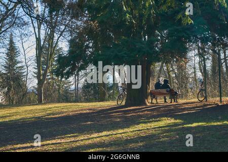 Ein Paar sitzt auf einer Bank unter einem Baum im Wasserpark, Frankfurt am Main, Deutschland Stockfoto