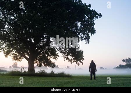 Ein geheimnisvoller Mann, zurück zur Kamera. An einem nebligen Sommermorgen, kurz vor Sonnenaufgang, auf einem Feld neben einer Eiche stehen Stockfoto