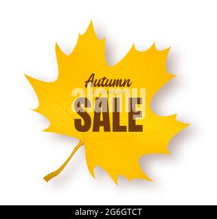 Herbstangebot Banner mit Herbstblättern. Vektorhintergrund. Stock Vektor