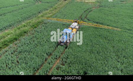 Luftbild des blauen New Holland Traktors und des Feldspritzers in einem Feld von Frühlingsbohnen Stockfoto