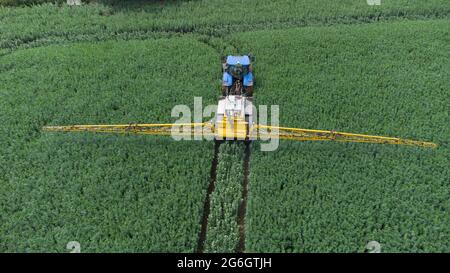 Luftbild des blauen New Holland Traktors und des Feldspritzers in einem Feld von Frühlingsbohnen Stockfoto