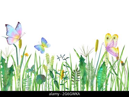 Wiese Wildblumen, Kräuter, Gräser mit bunten Schmetterlingen. Aquarell handgezeichnete botanische Illustration auf weißem Hintergrund. Aquarell floral HE Stockfoto