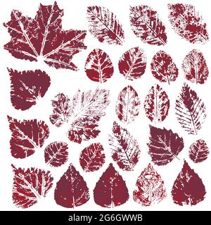 Sammlung von Herbstblättern in rot. Satz von Vektorzeichnungen mit Acrylfarben. Zweifarbiger Druck, Aufdruck. Geeignet für die Herbstgestaltung von Spruchbändern, Flyern Stock Vektor