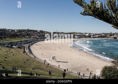 Allgemeiner Blick auf Bondi Beach aus dem Grasgebiet, bekannt als Bondi Park, Sydney, NSW, Australien. Eine beliebte Gegend für Picknicks, entspannende und aussichtsreiche Ausblicke Stockfoto