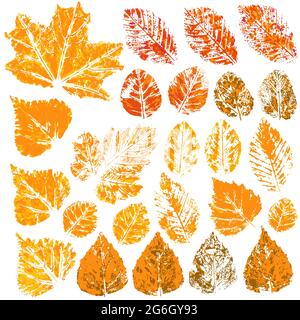 Sammlung von Herbstblättern in orange. Zweifarbige Farbdrucke. Satz von Vektorzeichnungen mit Acrylfarben. Gut für die Herbstgestaltung von Banner Stock Vektor