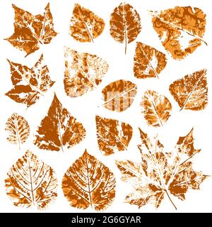 Satz von Vektorzeichnungen mit Acrylfarben. Sammlung von Herbstblättern in orange. Zweifarbige Farbdrucke. Geeignet für die Herbstgestaltung von Spruchbändern, Flyern Stock Vektor