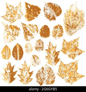 Sammlung von Herbstblättern in orange. Zweifarbige Farbdrucke. Satz von Vektorzeichnungen mit Acrylfarben. Geeignet für die Herbstgestaltung von Spruchbändern, Flyern Stock Vektor