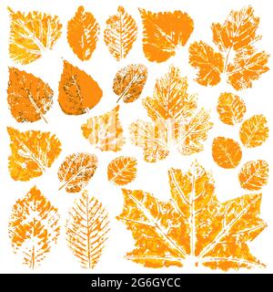 Sammlung von Herbstblättern in orange. Zweifarbige Farbdrucke. Satz von Vektorzeichnungen mit Acrylfarben. Geeignet für die Herbstgestaltung von Spruchbändern, Flyern Stock Vektor