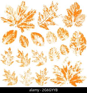 Satz von Vektorzeichnungen mit Acrylfarben. Sammlung von Herbstblättern in orange. Zweifarbige Farbdrucke. Gut für Herbstdesign Stock Vektor