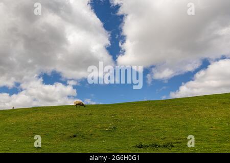 Landschaft des Fewston und des Swinsty Reservoir sowie der Yorkshire Peaks Stockfoto