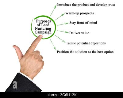 Komponenten der Lead-Nurturing-Kampagne Stockfoto